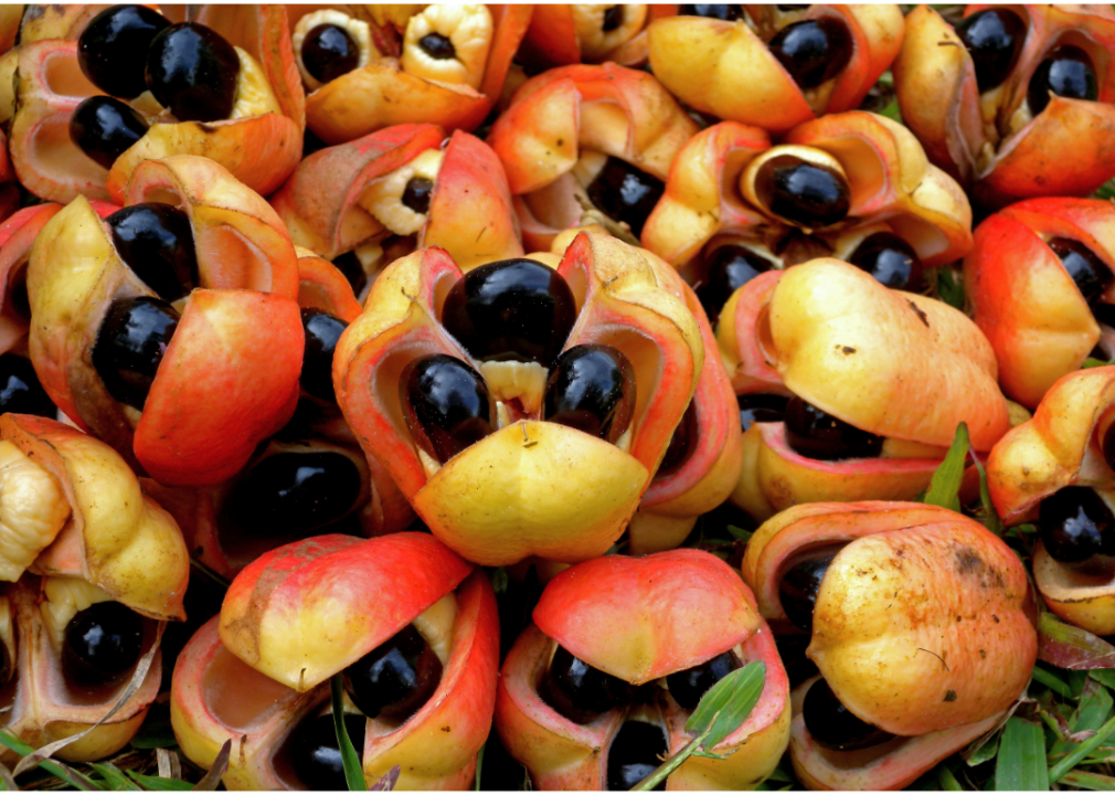 Fresh ackee